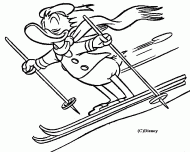 coloring picture of  donald as a skier